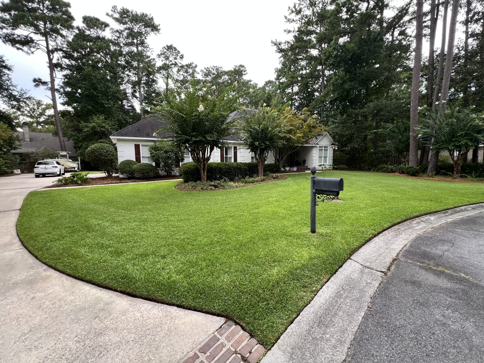 Freshly cut lawn